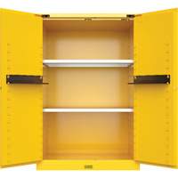 Armoire de s&eacute;curit&eacute; pour produits inflammables Utili-Guard+, 45 gal., 2 Porte(s), 43" La x 65" h x 22" p Solutions industrielles ALPHA