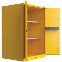 Armoire de s&eacute;curit&eacute; pour produits inflammables Utili-Guard+, 45 gal., 2 Porte(s), 43" La x 65" h x 22" p Solutions industrielles ALPHA