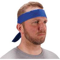 Chill-Its 6702 Cooling Headband with Embedded Polymers & Tie Closure, Blue Solutions industrielles ALPHA