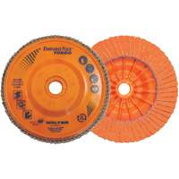 Enduro-Flex Turbo Flap Disc, 4-1/2" x 5/8"-11, 36/60 Grit Solutions industrielles ALPHA
