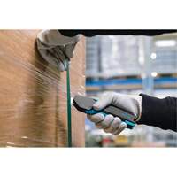 Couteau de s&eacute;curit&eacute; SECUPRO 425 avec lame trap&eacute;zoidale &agrave; pointe arrondie, 15 mm, Prise en Plastique Solutions industrielles ALPHA