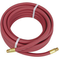 Heavy-Duty Air Hose, Air, PVC, 3/8" dia. x 25', 300 psi, 3/8" NPT Solutions industrielles ALPHA