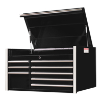 RX Series Tool Chest, 41" W, 8 Drawers, Black Solutions industrielles ALPHA