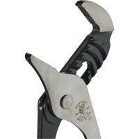 Groove Joint Pliers, 10" Solutions industrielles ALPHA