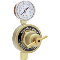 D&eacute;tendeurs Prot&eacute;g&eacute;s Contre Les Gaz Inertes-Pipeline S&eacute;rie 447 Solutions industrielles ALPHA