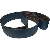 Sanding Belt, 60 Grit Solutions industrielles ALPHA