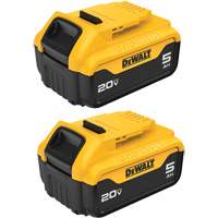 Max XR&reg; Premium Battery Pack, Lithium-Ion, 20 V, 5 A Solutions industrielles ALPHA
