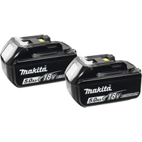 Batteries, Lithium-Ion, 18 V, 5.0 A Solutions industrielles ALPHA