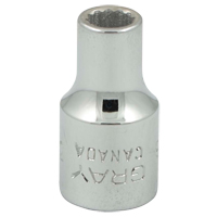 Socket, 3/16", 1/4" Drive, 12 Points Solutions industrielles ALPHA