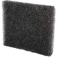 Rear Block Filter, Foam, Fits 0.528 US gal. Solutions industrielles ALPHA