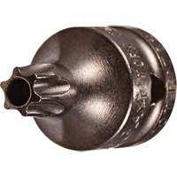Embout &agrave; ins&eacute;rer, Torx inviolable, 8 x 3/4" lo, Prise 1/4" Solutions industrielles ALPHA