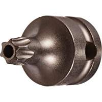 Embout &agrave; ins&eacute;rer, Torx inviolable, 25 x 1" lo, Prise 3/8" Solutions industrielles ALPHA