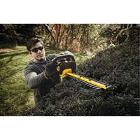 Max Cordless Hedge Trimmer, 22", 20 V, Battery Powered Solutions industrielles ALPHA