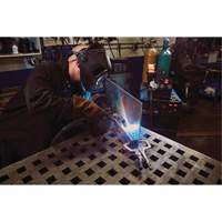 Pince-&eacute;tau Vise-Grip Fast Release 11R, Longueur 11", Pinces serre-joints Solutions industrielles ALPHA