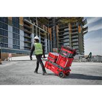 Coffre &agrave; outils roulant Packout, 15-4/5" x 34" x 28", Rouge Solutions industrielles ALPHA