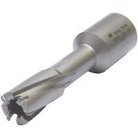 Core Cut Annular Cutter with Weldon Shank, 12 mm Diameter, Carbide, 30 mm Depth of Cut, 3/4" Shank Solutions industrielles ALPHA