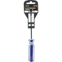 Tournevis &agrave; fente bleu transparent avec bandes, Tige de 3/16", Ronde, Prise en Plastique Solutions industrielles ALPHA