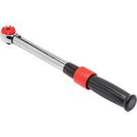Cl&eacute; dynamom&eacute;trique &agrave; microm&egrave;tre, &agrave; cadran, Entraînement 3/8" carr&eacute;, 50 - 250 lb-po Solutions industrielles ALPHA
