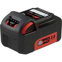 Battery, Lithium-Ion, 40 V Solutions industrielles ALPHA