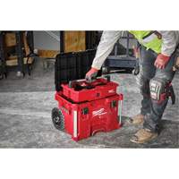 PACKOUT Rolling Tool Box, 18" x 22" x 19-1/2", Black/Red Solutions industrielles ALPHA
