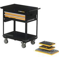 Mechanics Tool Set in Modular Foam Trays with Storage Unit, 194 Pieces Solutions industrielles ALPHA