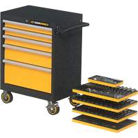 Mechanics Tool Set in Modular Foam Trays with Storage Unit, 247 Pieces Solutions industrielles ALPHA