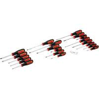 Dual Material Screwdriver Set, 20 Pcs. Solutions industrielles ALPHA