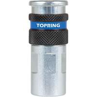 QUIKSILVER 2 Industrial Quick Coupler, Zinc-Plated Steel, 1/4", Female NPT, 362 PSI Solutions industrielles ALPHA