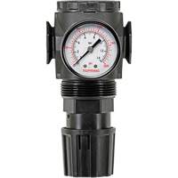 MODULAIR 300 Zinc Diaphragm Regulator, 3/8" NPT, 300 psi Max. PSI, In Line/Modular Solutions industrielles ALPHA
