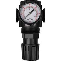 MODULAIR 300 Compressed Air Regulator, 1/2" NPT, 300 psi Max. PSI, In Line/Modular Solutions industrielles ALPHA
