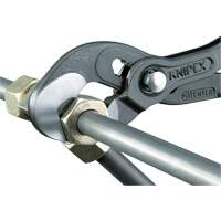 Pince Raptor, 10" Solutions industrielles ALPHA