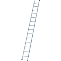 Industrial Heavy-Duty Extension/Straight Ladders, 8', Aluminum, 300 lbs., CSA Grade 1A Solutions industrielles ALPHA