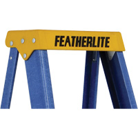 Industrial Duty Stepladders (6300 Series), 4', Fibreglass, 250 lbs. Capacity, Type 1 Solutions industrielles ALPHA