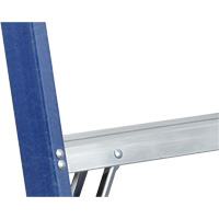 Industrial Duty Stepladders (6300 Series), 4', Fibreglass, 250 lbs. Capacity, Type 1 Solutions industrielles ALPHA