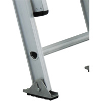 Industrial Heavy-Duty Extension Ladders (3200D Series), 300 lbs. Cap., 13' H, Grade 1A Solutions industrielles ALPHA
