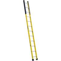 Single Manhole Ladder, 12', Fibreglass, 375 lbs., CSA Grade 1AA Solutions industrielles ALPHA