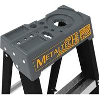 Escabeau avec plateau &agrave; peinture, 10', Fibre de verre, Capacit&eacute; 250 lb, Type 1 Solutions industrielles ALPHA