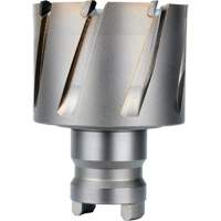 Fraise avec tenon &agrave; changement rapide Drive Hawg, Diam&egrave;tre de 2", Acier, Profondeur de la coupe de 1" Solutions industrielles ALPHA