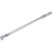 Cl&eacute; dynamom&eacute;trique microm&eacute;trique &agrave; t&ecirc;te fixe, &agrave; cliquer, Entraînement 1/2" carr&eacute;, 50-250 lb-pi Solutions industrielles ALPHA