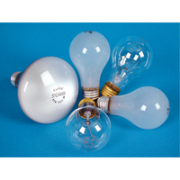LAMPE INCANDESCENTE,25W,130V,GIVREE,2/PQT Solutions industrielles ALPHA