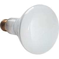 Lampes &agrave; incandescence &eacute;conomiques Solutions industrielles ALPHA