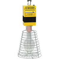 Task & Work Lighting