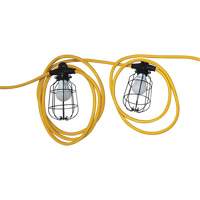 Chaînes de lumi&egrave;res DEL, 5 Lumi&egrave;res, 600" lo, Boîtier en M&eacute;tal Solutions industrielles ALPHA