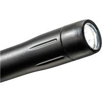 Lampe stylo, DEL, 139 lumens, Corps en Plastique, piles AAA, Compris Solutions industrielles ALPHA