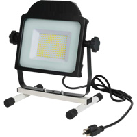 Floodlight, LED, 100 W, 10000 Lumens Solutions industrielles ALPHA