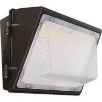 Non-Cutoff Wall Pack, LED, 120 - 277 V, 75 - 110 W, 9.33" H x 6.65" W x 14.5" D Solutions industrielles ALPHA