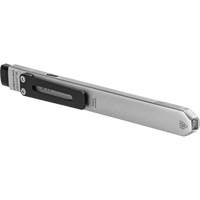 Lampe de poche Wedge SL avec couvercle, 500 lumens, Piles Rechargeable Solutions industrielles ALPHA