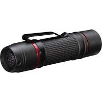 Lampe de poche &agrave; deux modes d'optique PX9, DEL, 750 lumens, Piles AAA Solutions industrielles ALPHA